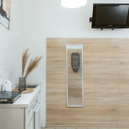 Smart з ремонтом дешево в центрі пл теодора 5 Appartement Lviv