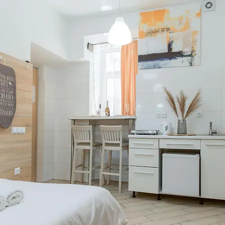 Smart з ремонтом дешево в центрі пл теодора 5 Appartement